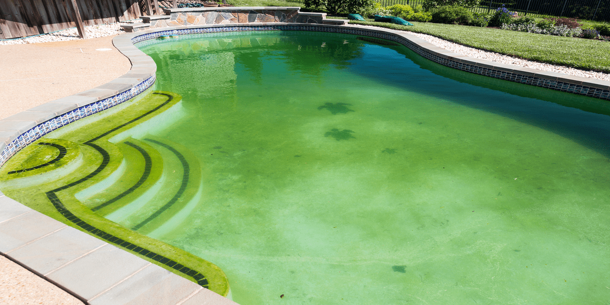 Petele din piscină: Origine și eliminare